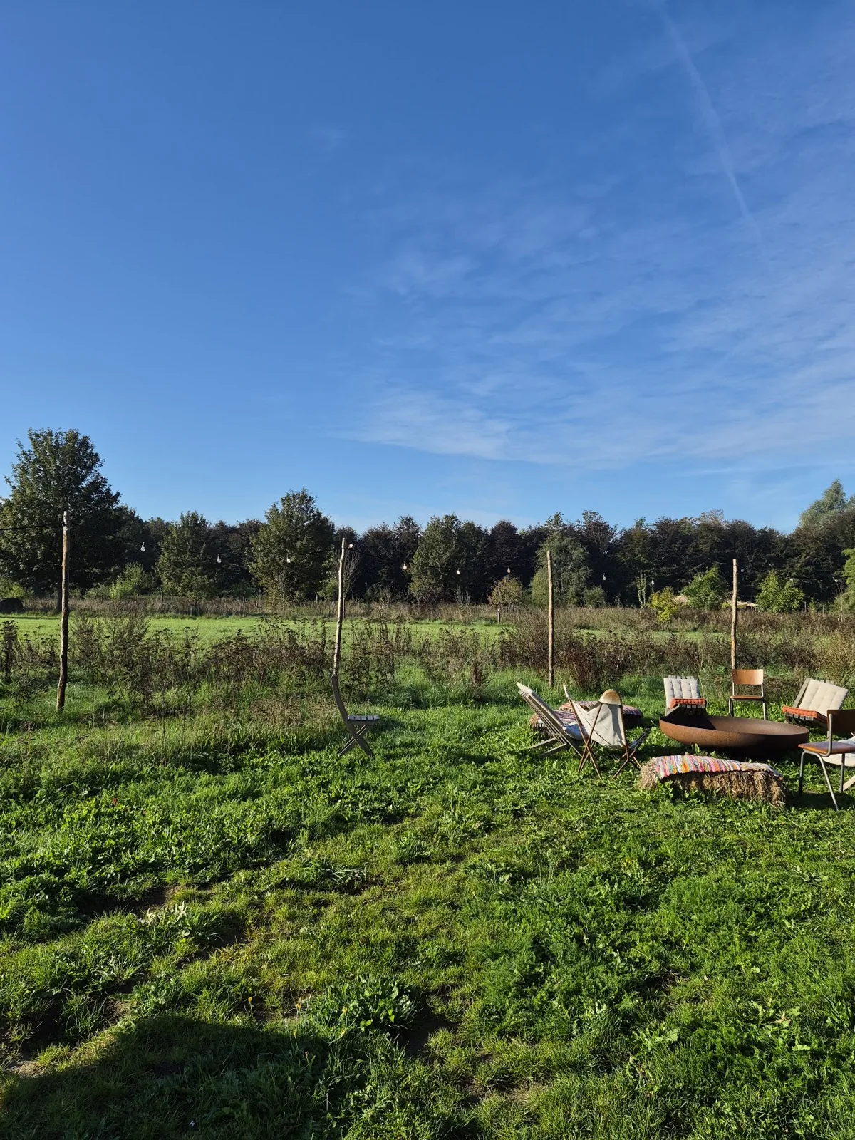 Het groene landschap rondom de locatie
