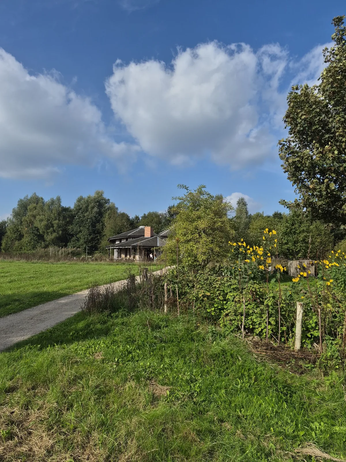 Wandelen door het groene landschap