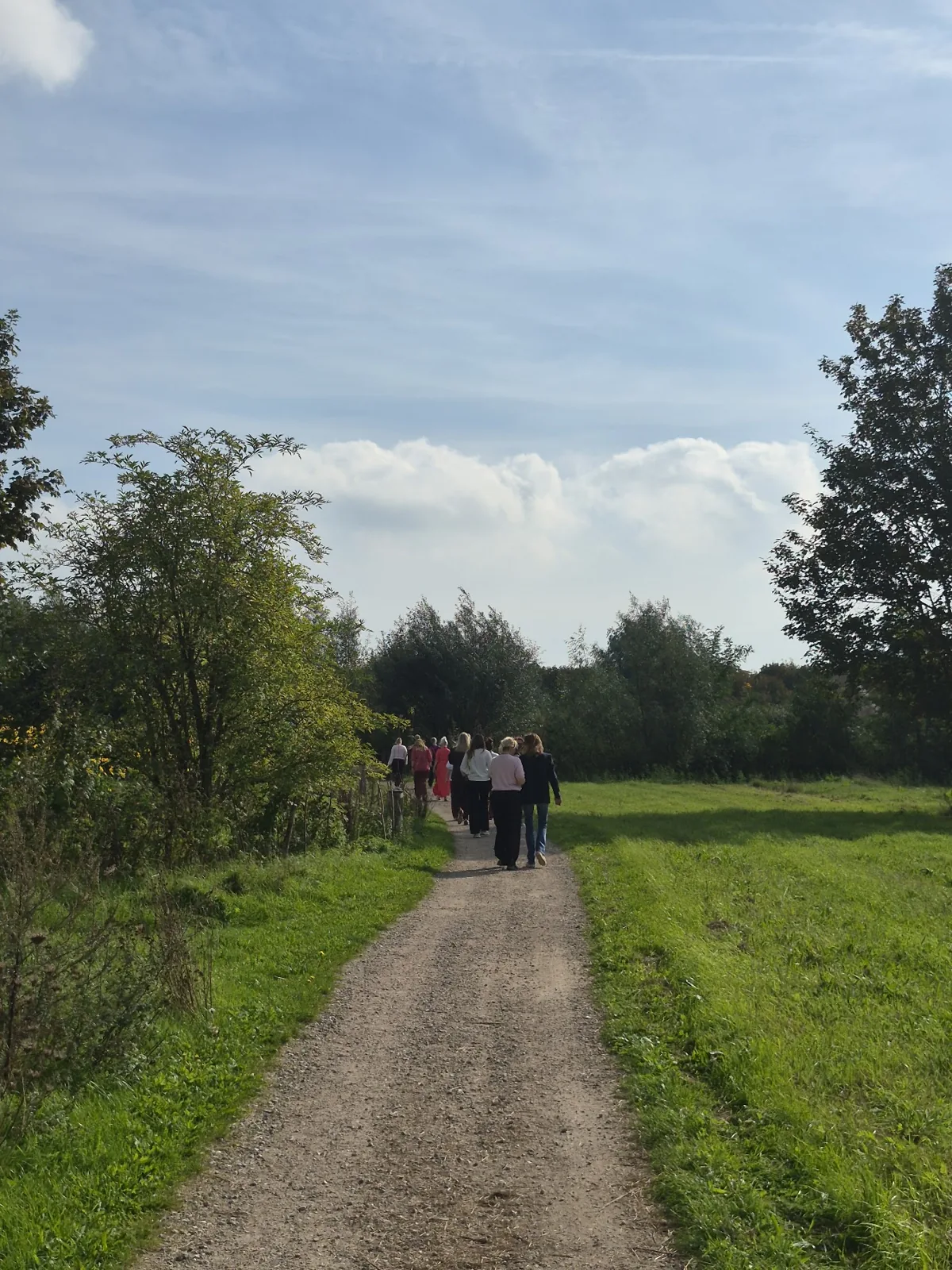Samen op pad over het bospad