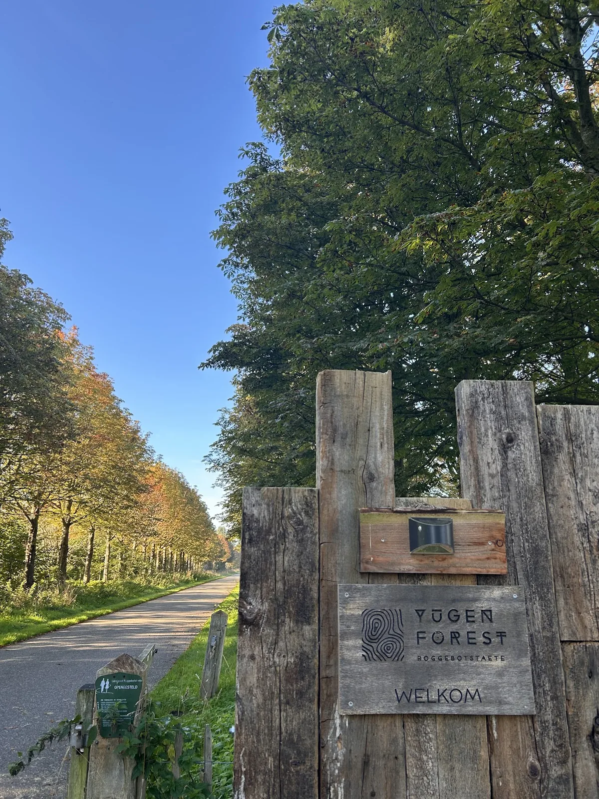 Welkom bij Yūgen Forest
