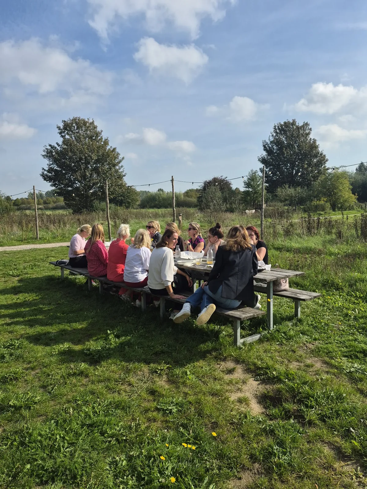 Samen aan tafel in het groen